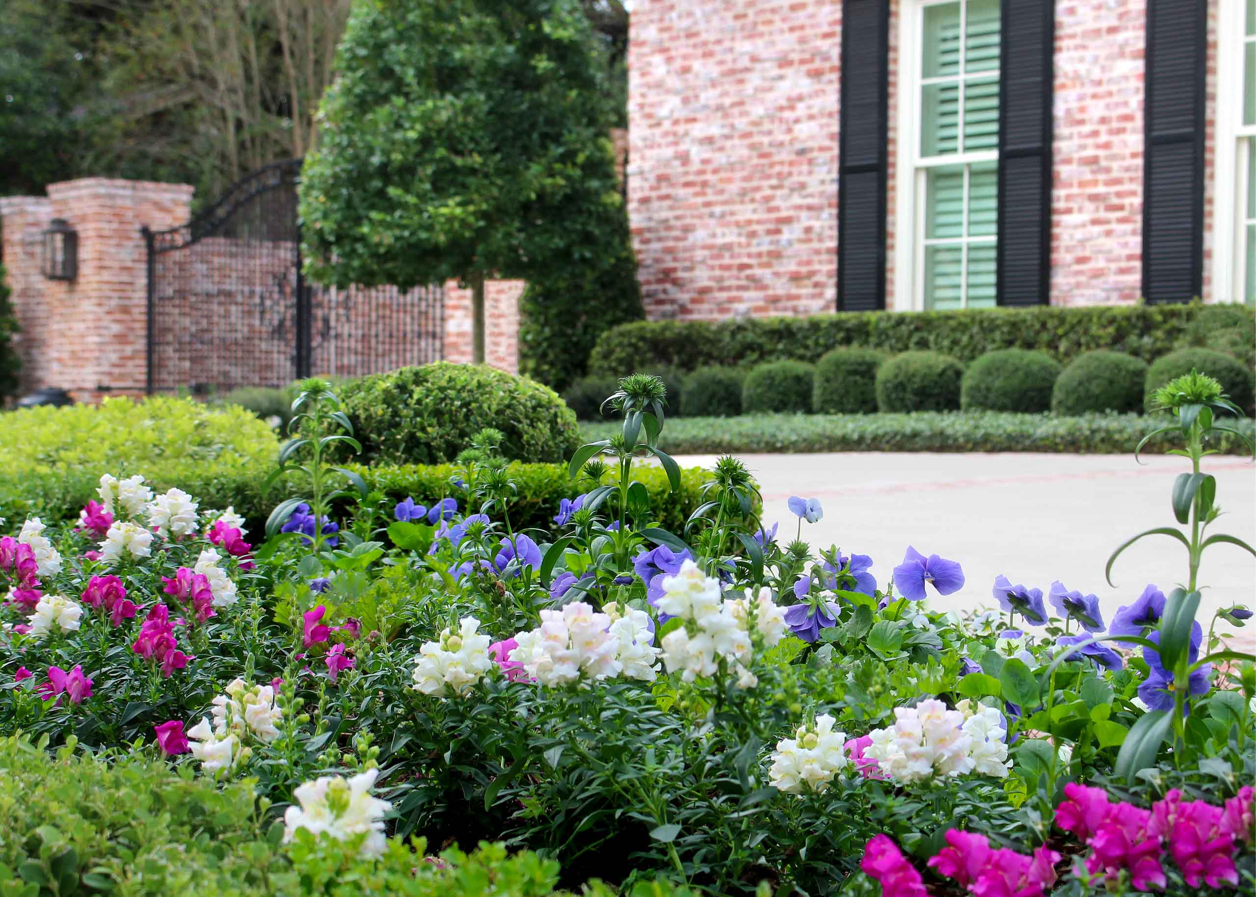 Landscape Maintenance Company in Houston, TX