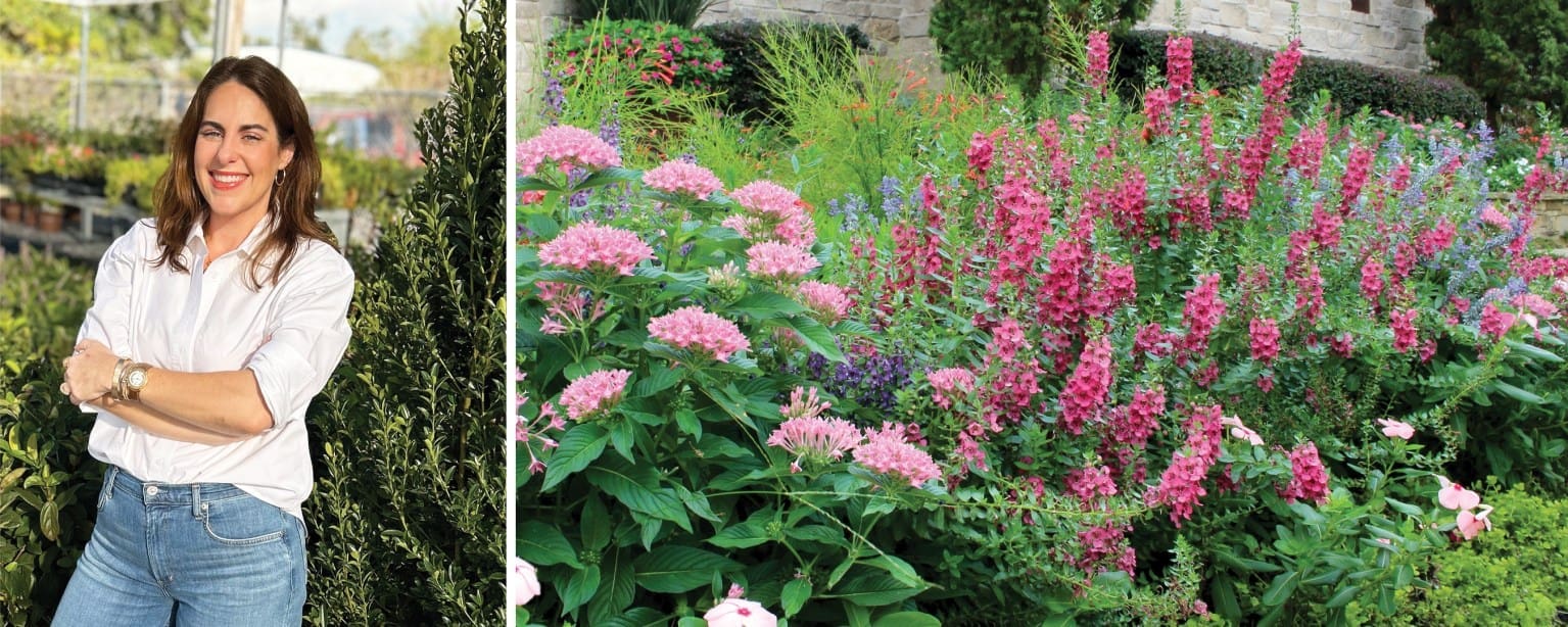 Team Page Banner Clair Hedgcoxe 1536x614