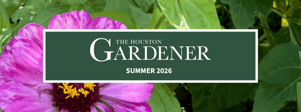 Newsletter_Blog Header Template - Summer 2026