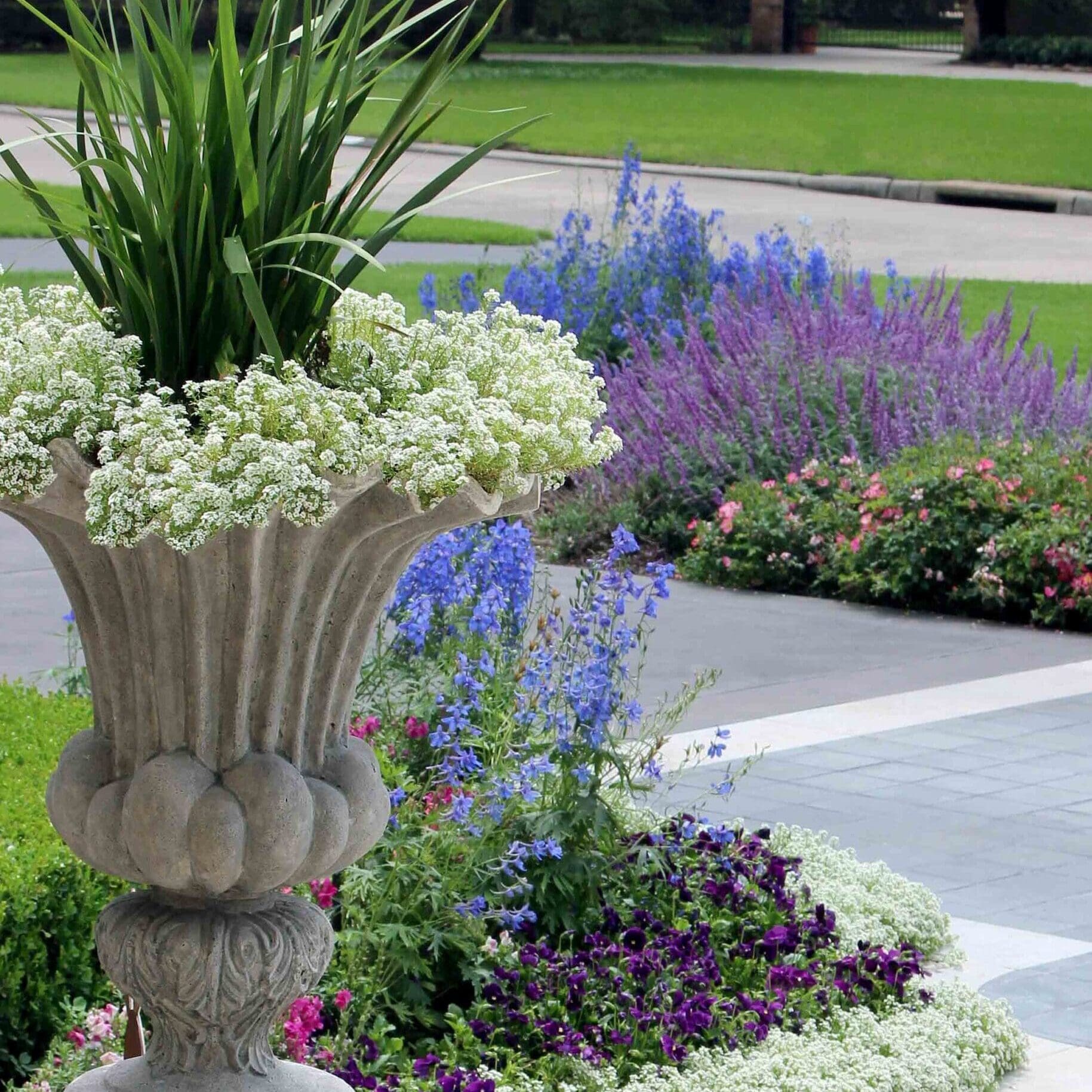 2603 Domineco Ln Pedestal