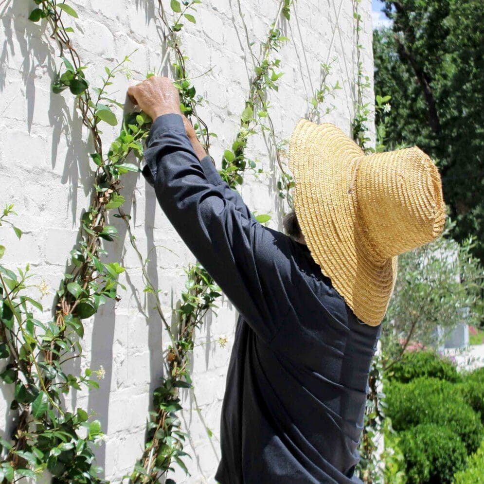 Houston, TX Landscaping Companies