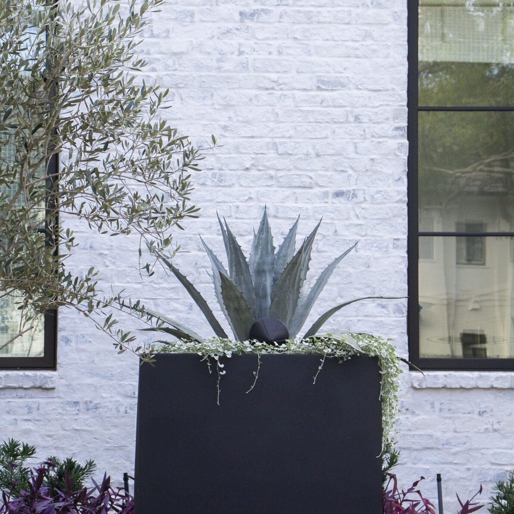 Houston, TX Landscape Installation