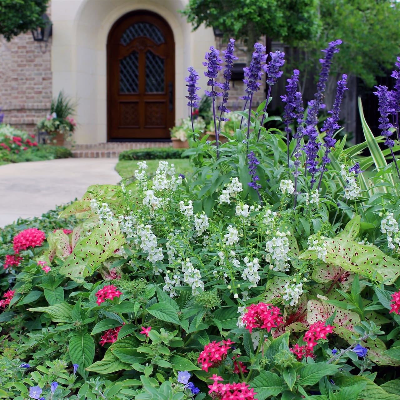 Houston, TX Seasonal Enhancements